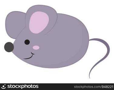 Cartoon grey mouse has a pointed snout, large pink ears, and a long tail, has a closed smile turning up to the cheek over white background looks cute, vector, color drawing or illustration.