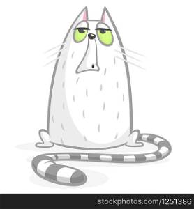 Cartoon grumpy cat. Cute fat cartoon cat illustration with a grumpy expression
