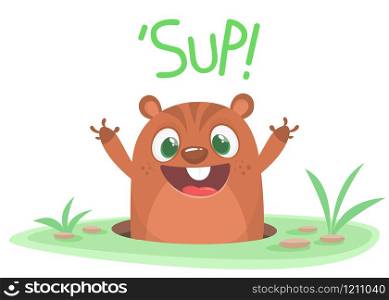 Cartoon Happy Groundhog day card with cute brown groundhog or marmot or woodchuck isolated on white background.