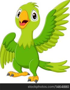 Cartoon happy parrot isolated on white background