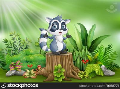 Cartoon happy raccoon on tree stump with green plants