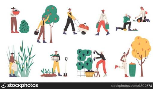 Cartoon harvesting farmers. People with baskets and buckets collecting crop. Persons pluck fruits and pick vegetables. Agricultural workers in overalls. Natural food cultivation. Vector gardeners set. Cartoon harvesting farmers. People with baskets and buckets collecting natural crop. Persons pluck fruits and pick vegetables. Agricultural workers in overalls. Vector gardeners set