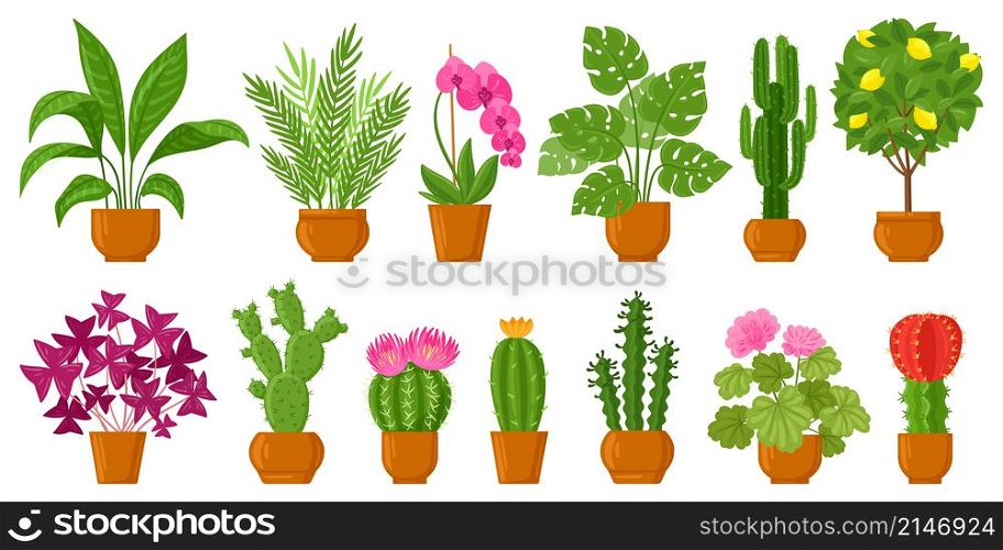 Cartoon house botanical decor potted plants and flowers. Blossom plants, monstera, cactus and orchid in ceramic pots vector illustration set. Indoor potted plants and botanical pot for interior. Cartoon house botanical decor potted plants and flowers. Blossom plants, monstera, cactus and orchid in ceramic pots vector illustration set. Indoor potted plants