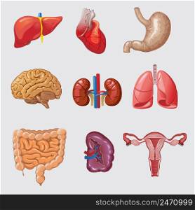 Cartoon human organs set with liver heart stomach brain kidneys lungs intestines spleen female reproductive system isolated vector illustration. Cartoon Human Organs Set