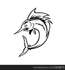 Cartoon illustration of an Atlantic sailfish swordfish jumping viewed from side on isolated white background in monochrome black and white.. Atlantic Sailfish Jumping Cartoon Black and White