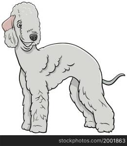 Cartoon illustration of Bedlington Terrier purebred dog animal character