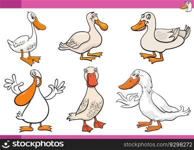 Cartoon illustration of ducks farm birds characters set