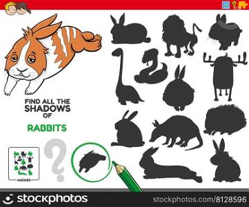Cartoon illustration of finding all the shadows or silhouettes of rabbits educational game for children