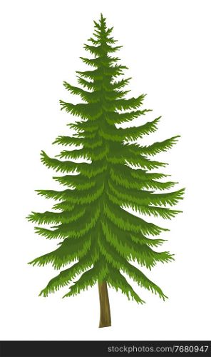 Cartoon illustration of fir-tree isolated at white background. Evergreen tree. Nature concept. Vector emblem. Landscape interface, tree of wood. Raster icon of spruce. Flat style of organic plant. Cartoon illustration of fir-tree isolated at white background, evergreen tree, nature concept