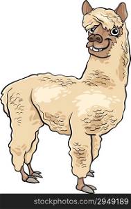 Cartoon Illustration of Funny Alpaca Farm Animal