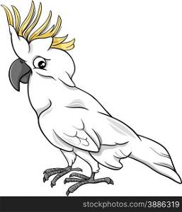 Cartoon Illustration of Funny Cockatoo Parrot Bird