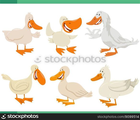 Cartoon illustration of funny ducks farm animals comic characters set