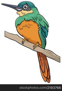 Cartoon illustration of funny jacamar bird animal character