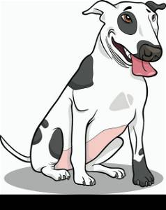 Cartoon Illustration of Funny Spotted Bull Terrier Dog