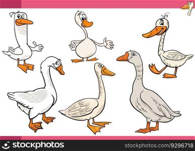 Cartoon illustration of geese farm birds animal characters set