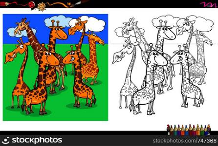 Cartoon Illustration of Giraffes Animal Characters Group Coloring Book Worksheet