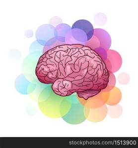Cartoon illustration of human brain with highlights and shadows with colorful circles. Side view. Creativity and inspiration. The object is separate from background. Vector element for your creativity. Cartoon illustration of human brain with highlights and shadows with colorful circles. Creativity and inspiration.