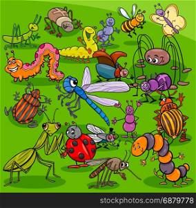 Cartoon Illustration of Insects and Bugs Animal Characters Group