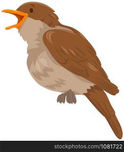Cartoon Illustration of Nightingale Bird Funny Wild Animal Character