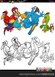Cartoon Illustration of Parrot Birds Animal Characters Group Coloring Book Activity