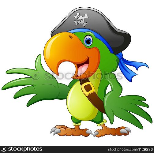 cartoon illustration of pirate parrot