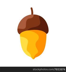 Cartoon illustration of ripe acorn. Autumn plant.. Cartoon illustration of ripe acorn.