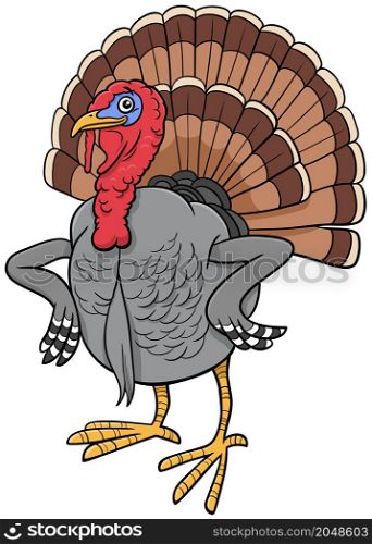 Cartoon illustration of turkey bird farm animal character