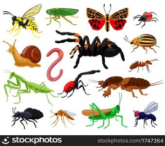 Cartoon insects. Wood and garden cute insects, butterfly, caterpillar, spider, ladybug and wasp. Bugs insects mascots vector illustration set. Mosquito and butterfly, worm and dragonfly. Cartoon insects. Wood and garden cute insects, butterfly, caterpillar, spider, ladybug and wasp. Bugs insects mascots vector illustration set