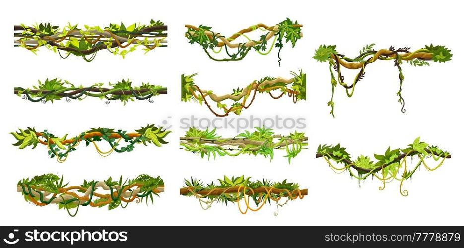 Cartoon jungle tropical liana branch vines, forest plant thickets, isolated. Tropic rainforest or jungle liana branch with green leaves of amazon plant thicket with ivy ropes for frames. Cartoon jungle tropical liana, branch vine thicket