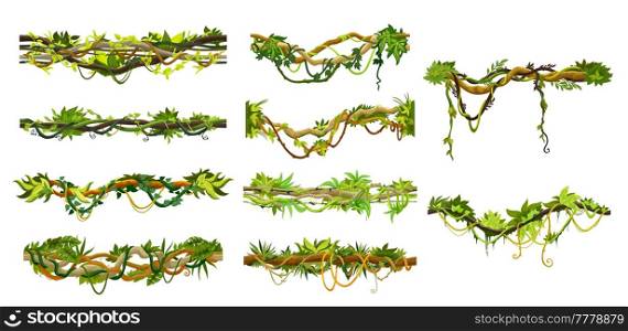 Cartoon jungle tropical liana branch vines, forest plant thickets, isolated. Tropic rainforest or jungle liana branch with green leaves of amazon plant thicket with ivy ropes for frames. Cartoon jungle tropical liana, branch vine thicket