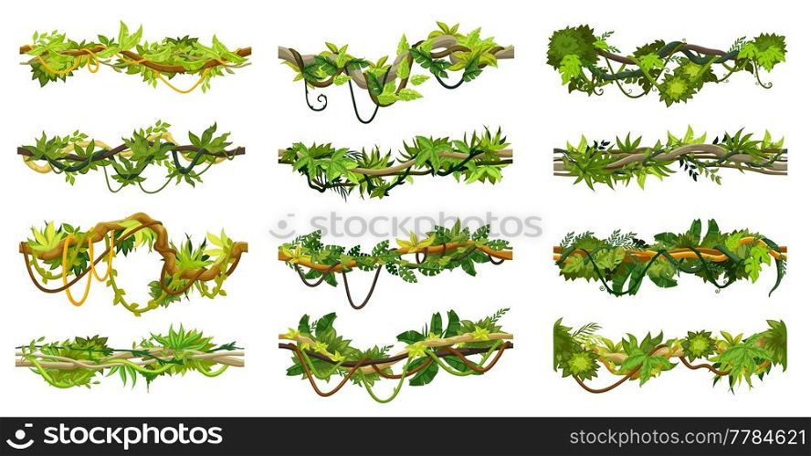 Cartoon jungle tropical liana branch vines, isolated vector Amazon rainforest thicket. Tropic forest plants, climbing and hanging roots, leaves, green tree foliage spinney, floral borders with lianas. Cartoon jungle tropical liana branch vines set