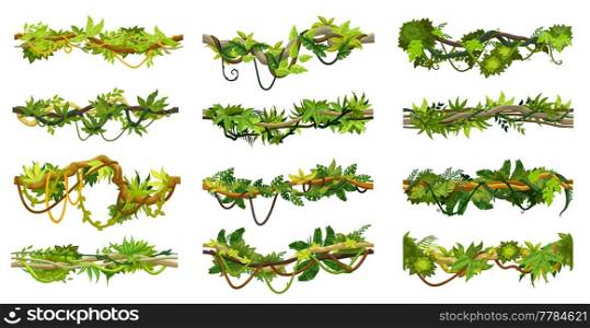Cartoon jungle tropical liana branch vines, isolated vector Amazon rainforest thicket. Tropic forest plants, climbing and hanging roots, leaves, green tree foliage spinney, floral borders with lianas. Cartoon jungle tropical liana branch vines set