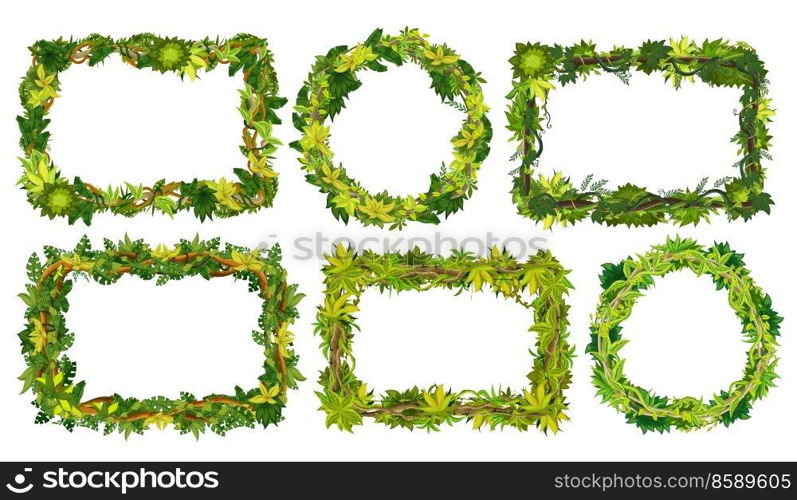 Cartoon jungle tropical liana frames and borders. Decorative vector tree branches, vines, rainforest leaves, green foliage plants. Frames with forest lianas, tropic jungle nature border. Cartoon jungle tropical liana frames and borders