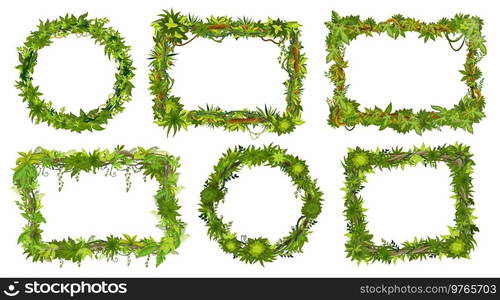 Cartoon jungle tropical liana frames, vines and forest plant leaf, vector borders. Jungle liana creeper green thicket frame signs or round borders with tropical foliage branches and leaves. Cartoon jungle tropical liana frames, ivy vines