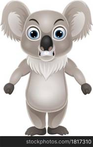 Cartoon koala standing with angry expression