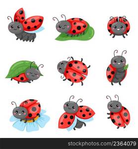 Cartoon ladybug. Funny cute red beetle with polka dots pattern, flying and crawling adorable insect characters, different poses on leaf or flower sitting, happy emotions on face vector isolated set. Cartoon ladybug. Funny cute red beetle with polka dots pattern, flying and crawling adorable insect characters, different poses on leaf or flower sitting, happy emotions vector isolated set