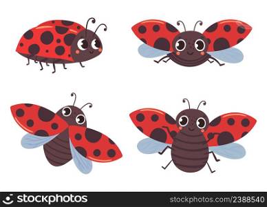 Cartoon ladybug insects with red black wings. Vector red insect cartoon, illustration of isolated fly ladybird, cute summer beetle. Cartoon ladybug insects with red black wings