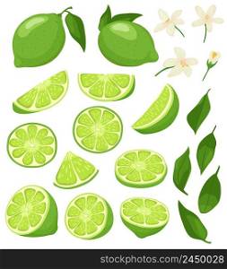 Cartoon lime. Green citrus with blossom, sliced limes and sour summer fruit vector illustration set. Lime green collection organic, blossom and leaf. Cartoon lime. Green citrus with blossom, sliced limes and sour summer fruit vector illustration set
