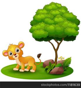 Cartoon lion under a tree on a white background