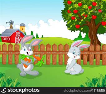 Cartoon little bunny in the farm
