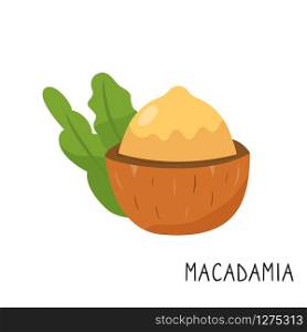 Cartoon macadamia isolated on white background.. Cartoon macadamia isolated on a white background