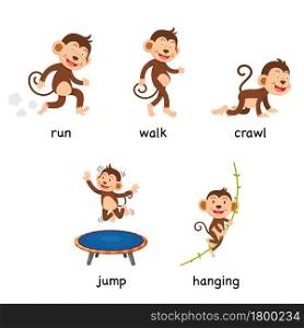 cartoon monkey vocabulary vector illustration