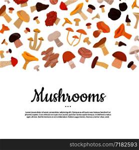 cartoon mushrooms vector background with place for text illustration. cartoon mushrooms vector background