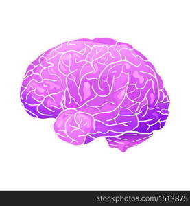 Cartoon neon illustration of a human brain with highlights and shadows. Side view. The object is separate from the background. Vector element for your creativity. Cartoon neon illustration of a human brain with highlights and shadows. Side view.