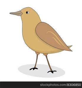 Cartoon nightingale bird vector. Luscinia luscinia, nightingale illustration. Cartoon nightingale bird vector