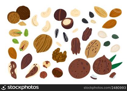 Cartoon nuts. Funny superfood. Different types of dry fruits. Cute walnut or hazelnut. Healthy vegan snacks. Isolated almond and pistachio. Pumpkin or sunflower seeds. Vector natural food products set. Cartoon nuts. Funny superfood. Different types of dry fruits. Walnut or hazelnut. Healthy snacks. Isolated almond and pistachio. Pumpkin or sunflower seeds. Vector natural food products set