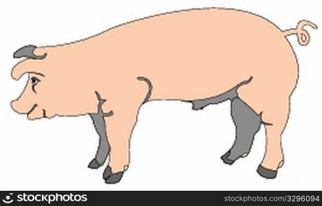 cartoon of a pig, vector art illustration; more cartoons in my gallery