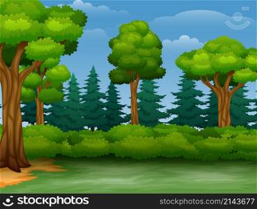Cartoon of trees view in a forest