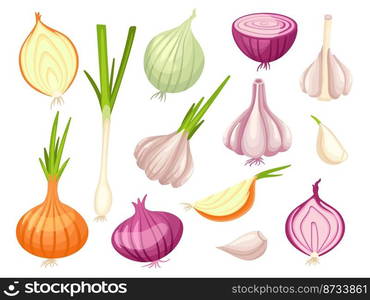 Cartoon onion and garlic. Organic onions, fresh spring raw vegetables. Cut white and red vegan food, cutting half and sliced. Cooking spices vector. Illustration of organic garlic and onion vegetable. Cartoon onion and garlic. Organic onions, fresh spring raw vegetables. Cut white and red vegan food, cutting half and sliced. Cooking spices neat vector set