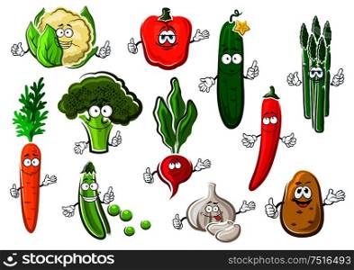 Cartoon organic healthful broccoli, sweet orange carrot, bright chilli and bell peppers, succulent cucumber, potato, garlic, pod of green pea, cauliflower, asparagus and radish vegetables. Healthful ripe farm vegetables set